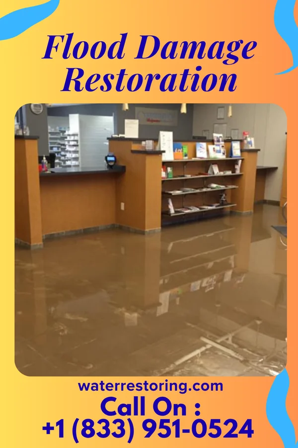 Flood Damage Restoration in New Home, TX